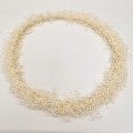 Siena - Corona gypsophila tupida